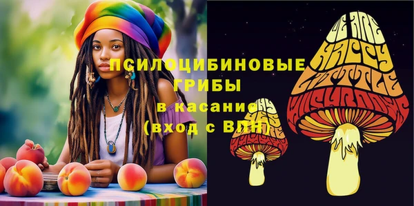 2c-b Алексеевка