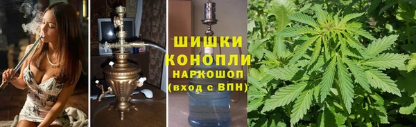 соль ск Рославль