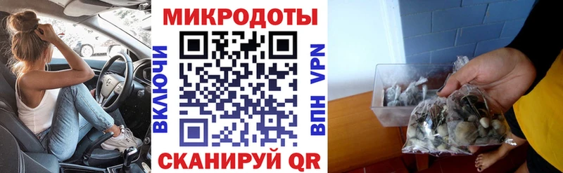 цена наркотик  Себеж  Псилоцибиновые грибы Psilocybine cubensis 